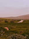 hadas_mayer_ Altpins Profile Picture