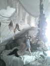 ash.onme Altpins Profile Picture