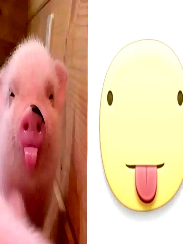 milkibunshehe instagram image archive image