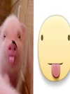 milkibunshehe Altpins Profile Picture