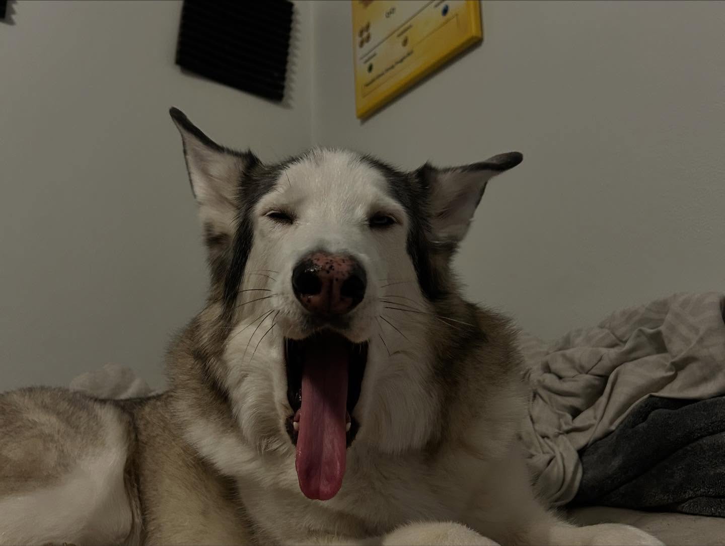 _animechika_ instagram image archive image