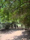 _hilaluu Altpins Profile Picture