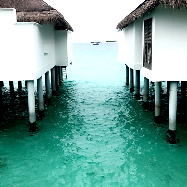 barzomer instagram image archive image