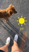 yulia_l1 Altpins Profile Picture