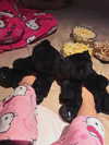 jadelaverne Altpins Profile Picture