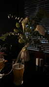 hoodifruit Altpins Profile Picture
