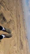 libby_reut Altpins Profile Picture