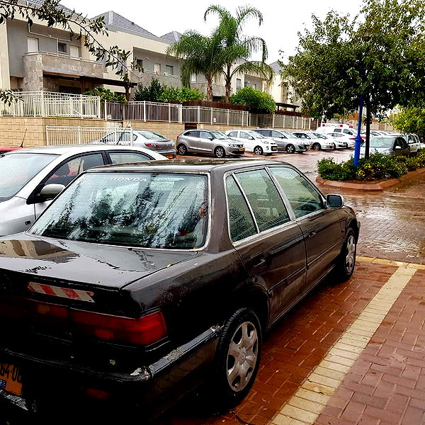 eitan.420 instagram image archive image