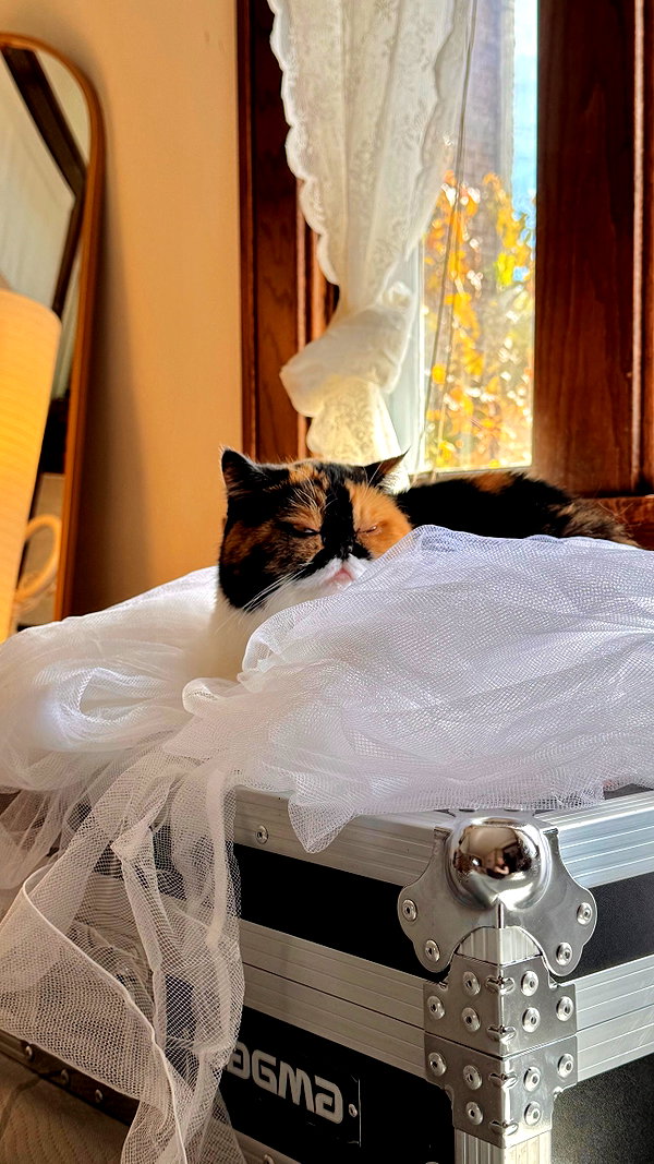 mewisa instagram image archive image