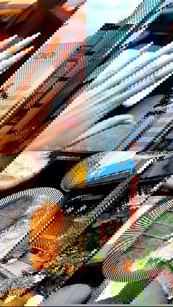 taylor.creeden taylor.creeden archive image