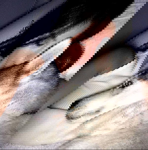 shir.davida6 shir.davida6 archive image