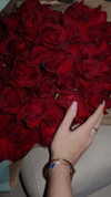 adelaidepalii Altpins Profile Picture