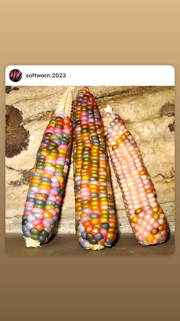 babynympho_archive instagram image archive image