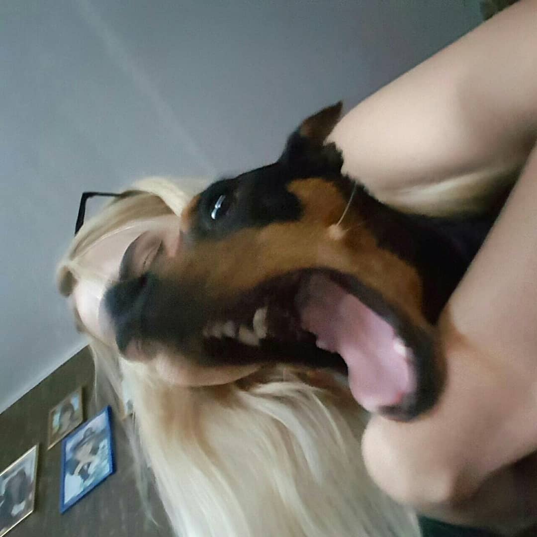 annfigmax instagram image archive image