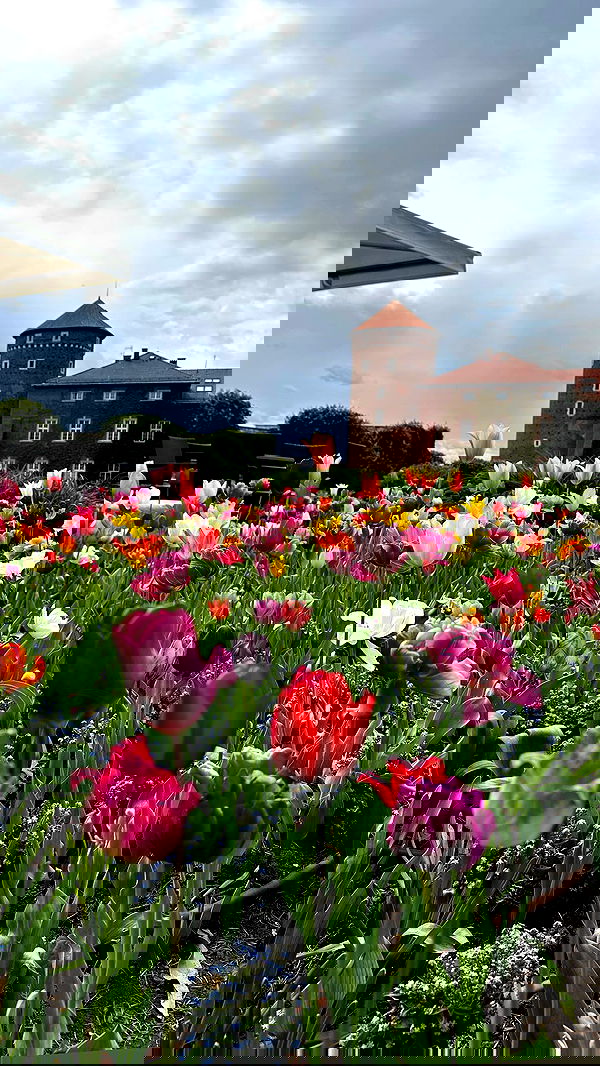 mishel116 mishel116 archive image