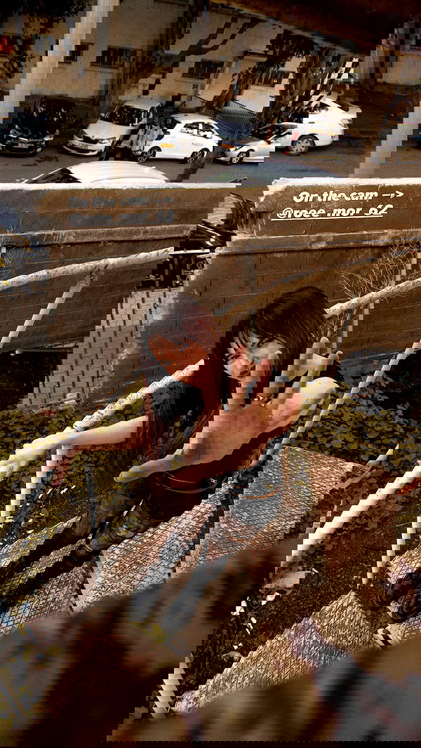 natalllluli natalllluli archive image