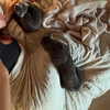 staskaranikolaou Altpins Profile Picture