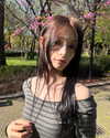 re111ko Altpins Profile Picture