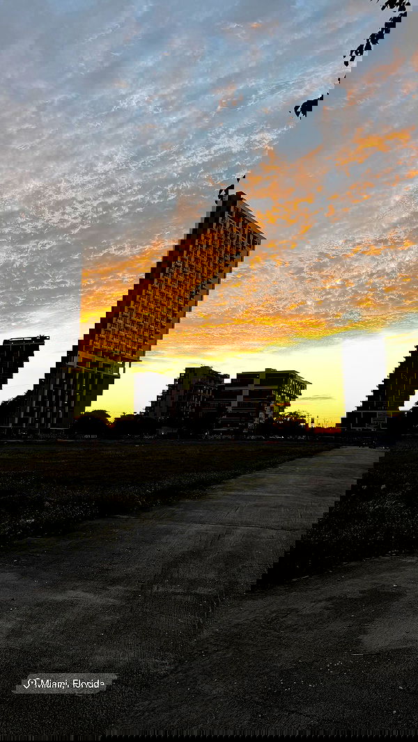 biton__adi biton__adi archive image