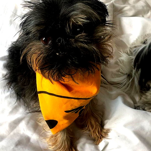 lilbieber instagram image archive image