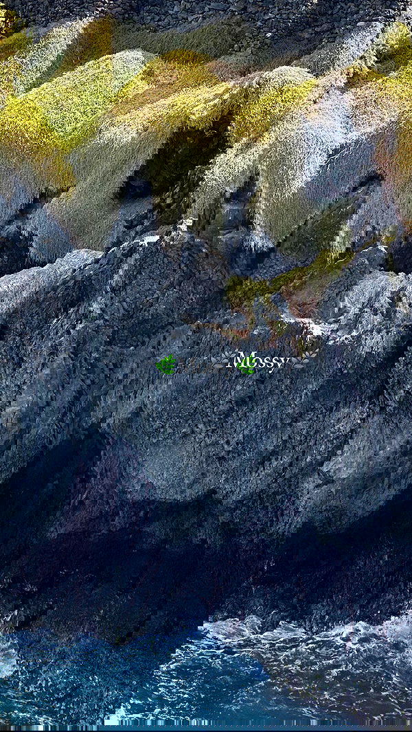 taylor.creeden taylor.creeden archive image