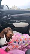 maya.keyy Altpins Profile Picture