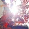 muze Altpins Profile Picture