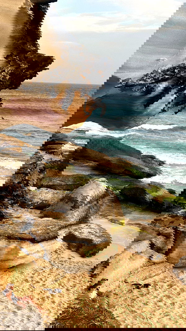 taylor.creeden taylor.creeden archive image