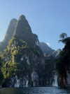 swfx_real Altpins Profile Picture