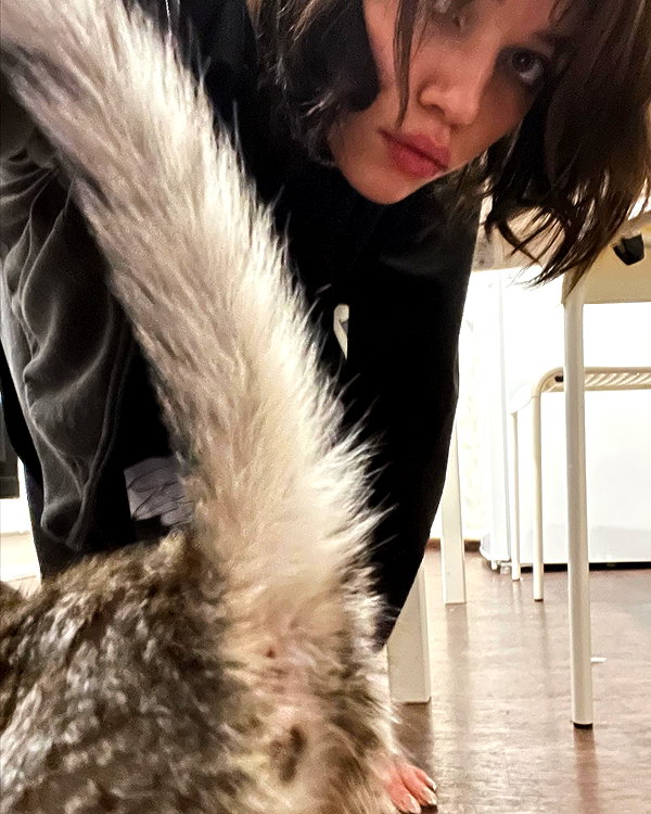 propadauy instagram image archive image