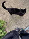 mollieruck Altpins Profile Picture