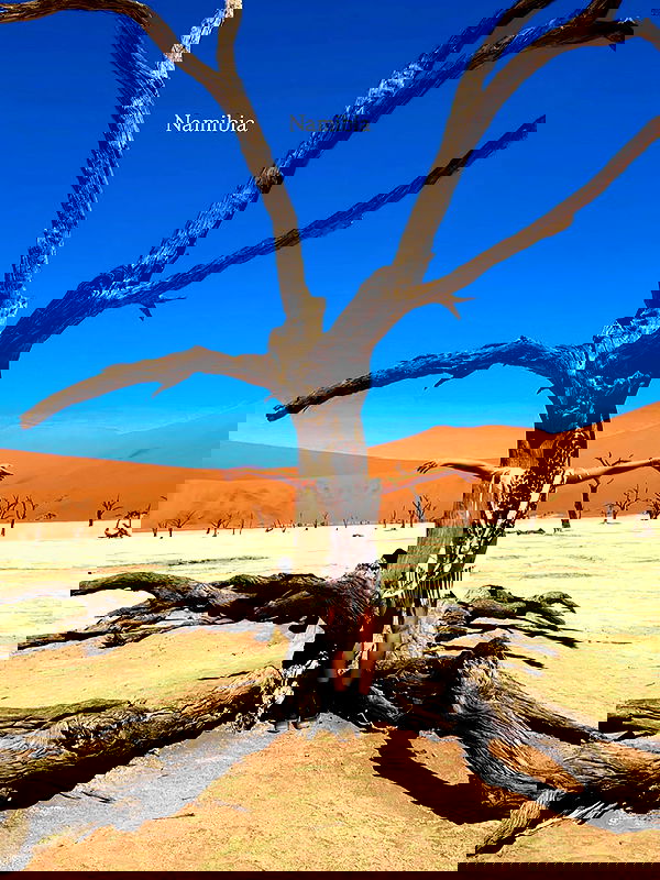 taylor.creeden taylor.creeden archive image