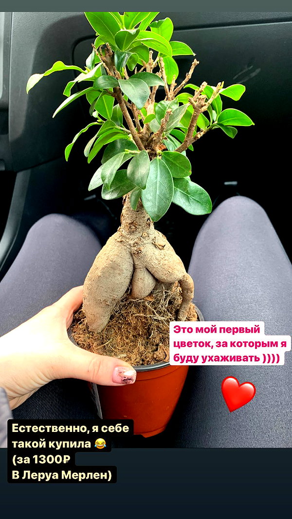 nyiityam instagram image archive image