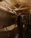 daria.temnik1 Altpins Profile Picture