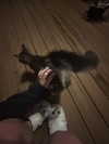 _kinzxy Altpins Profile Picture