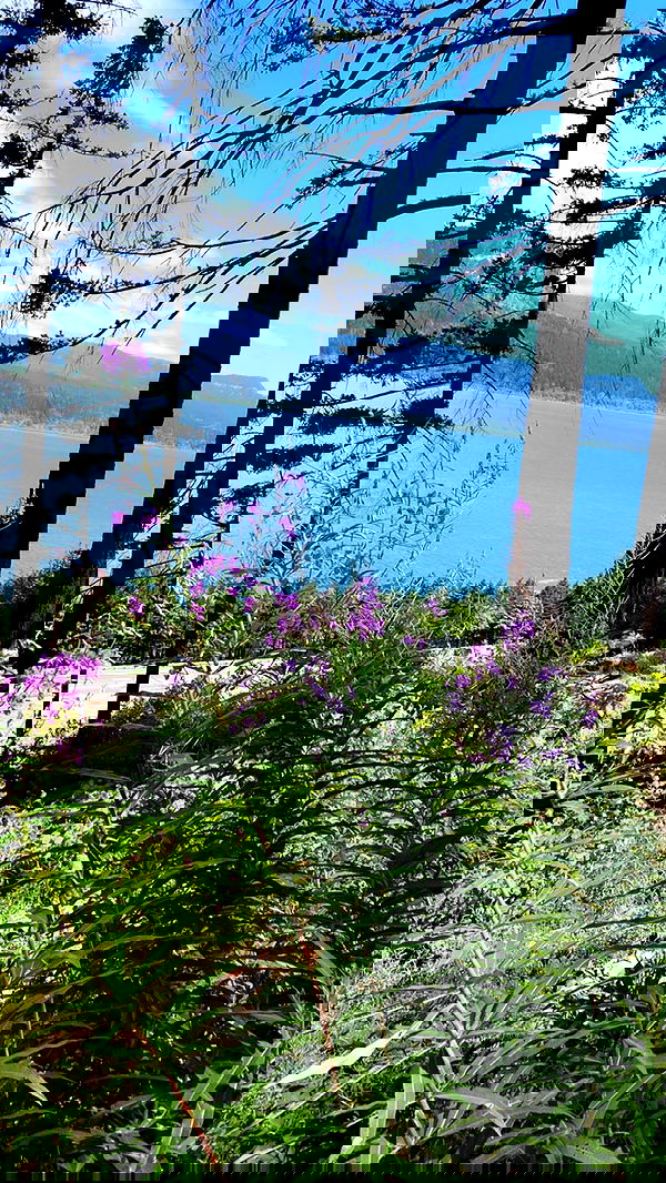 taylor.creeden taylor.creeden archive image