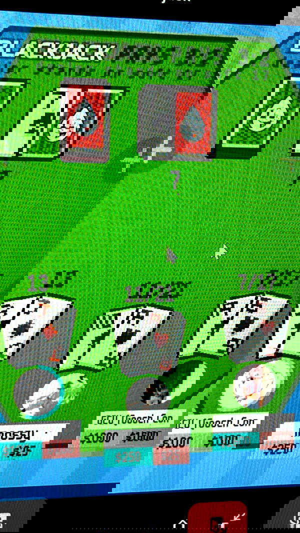 mosssaico mosssaico archive image