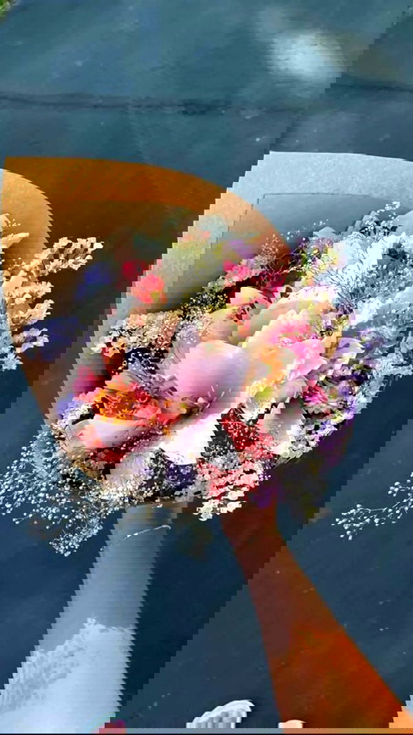 rebeccaschez rebeccaschez archive image