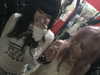 biohazard.g1rl Altpins Profile Picture