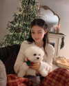 ll.lu1s Altpins Profile Picture
