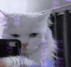 mariagabrielasantos Altpins Profile Picture