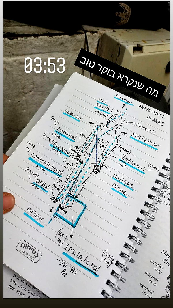 eveliniya instagram image archive image