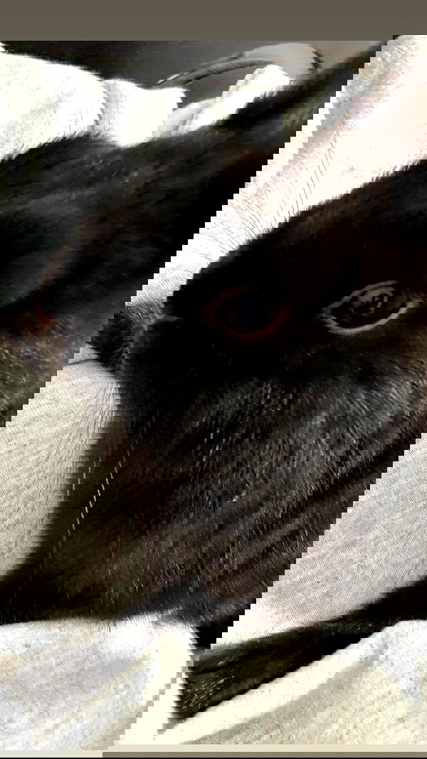 efrat_elmalich efrat_elmalich archive image