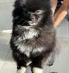 katrina.zaiceva Altpins Profile Picture