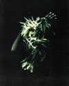 lowrtown Altpins Profile Picture