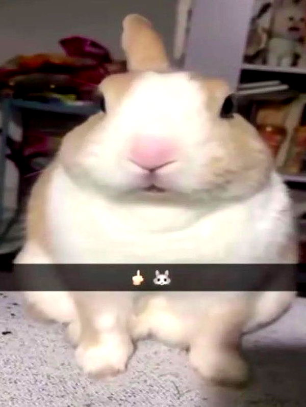 milkibunshehe instagram image archive image