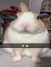 milkibunshehe Altpins Profile Picture
