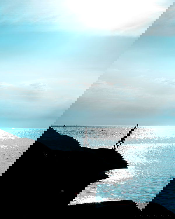 taylor.creeden taylor.creeden archive image