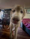 gisellelee8 Altpins Profile Picture