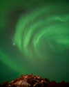 rouxroux.tv Altpins Profile Picture